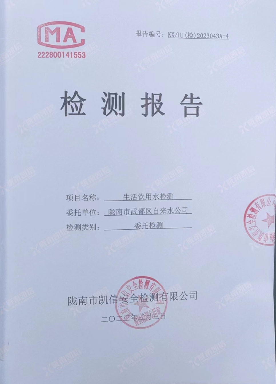 2023年3月3日武都城區(qū)飲用水檢測報(bào)告